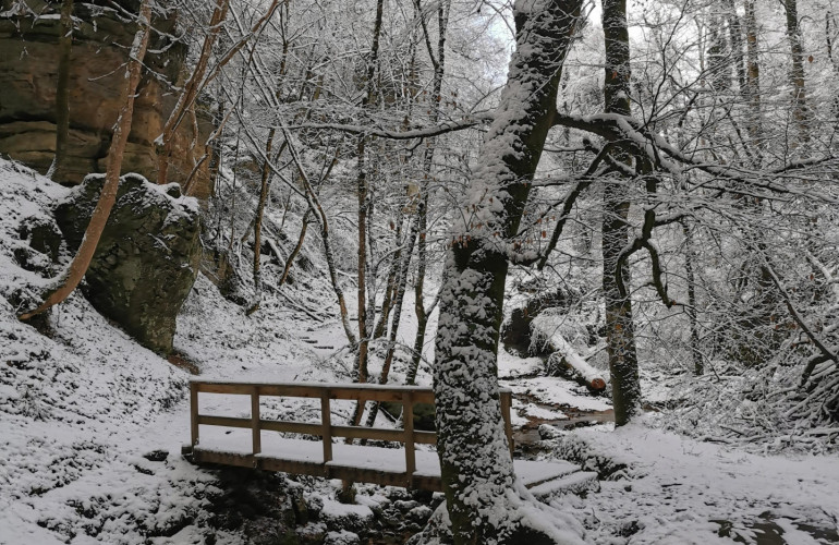 Berdorf local hike B2 in winter (c) ORT MPSL (8)