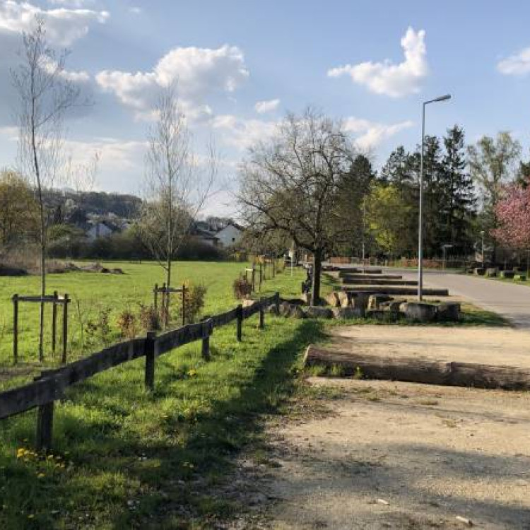 31693-crop-720x445x70