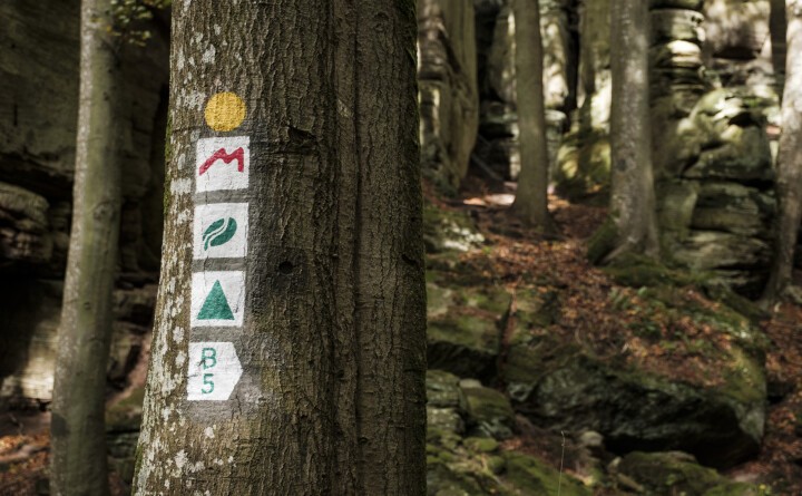 Wegemarkierung Mullerthal (c) Pancake! Photographie (2)