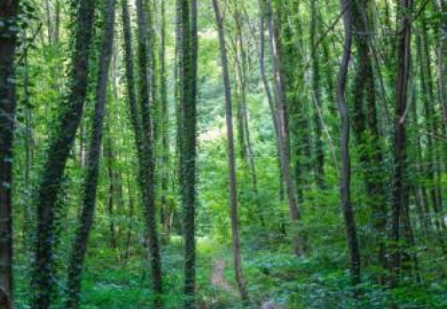 Moersdorf - Herborn-photo-1