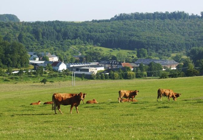 Moersdorf - Herborn-photo-2