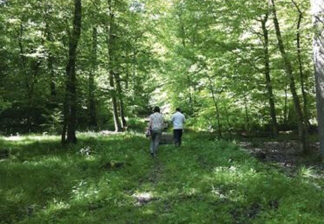 Herborn - Echternach-photo-2