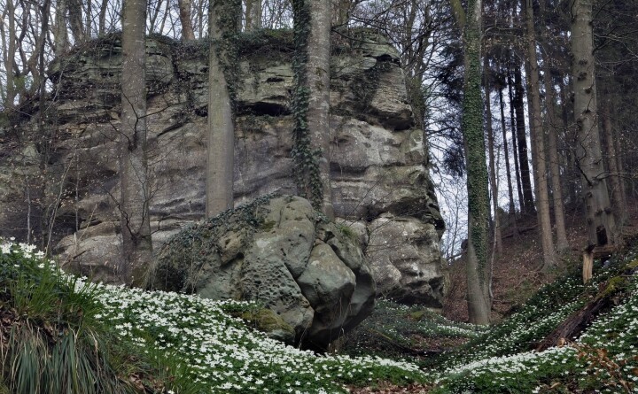 mullerthal 00221 RC